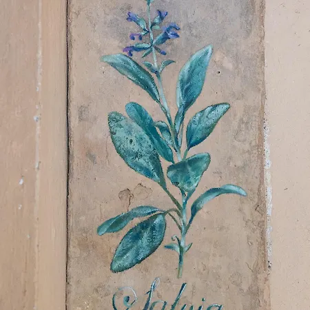 La Quarta * פרמו