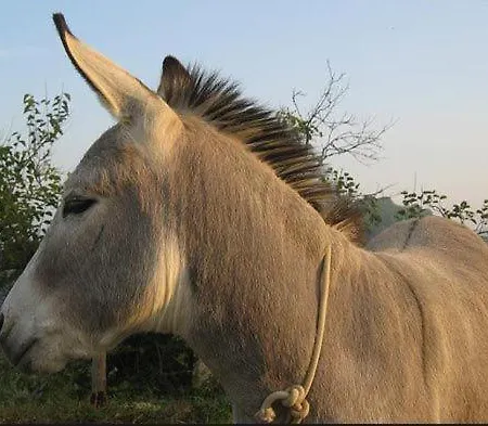 Séjour à la campagne La Quarta *