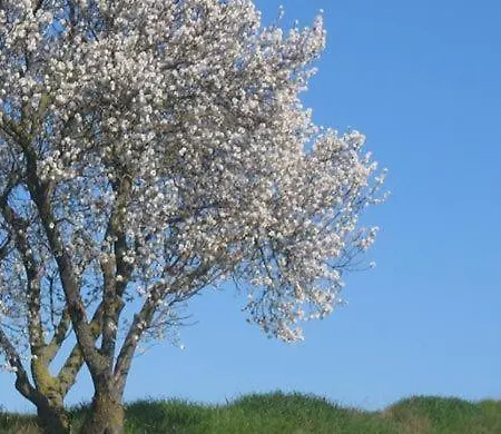 Séjour à la campagne La Quarta Fermo